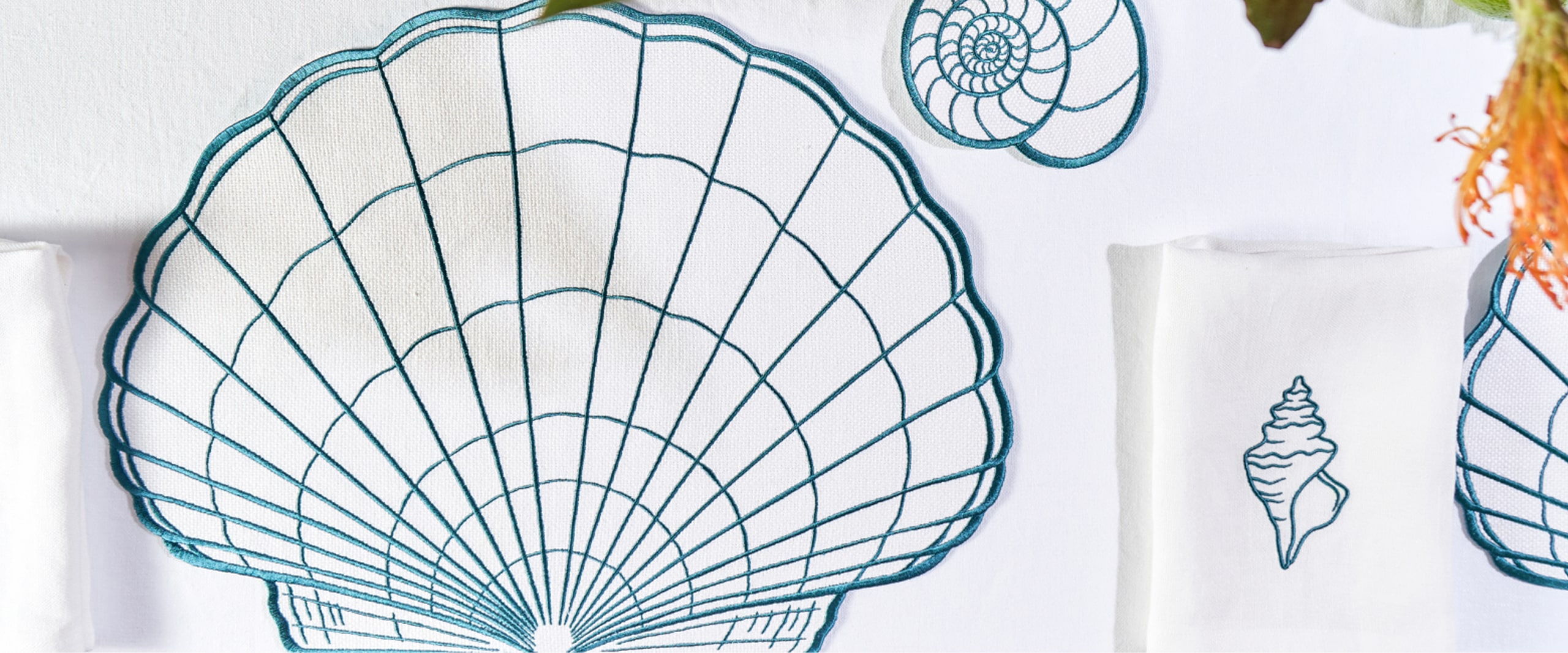 Shells bg